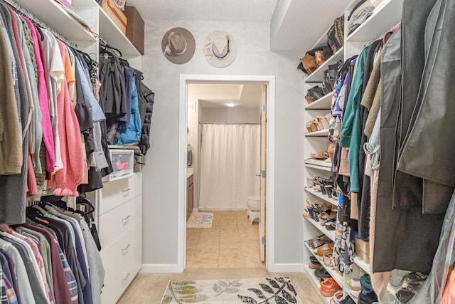 4132 Vernon Ave S Unit A101, Saint Louis Park, MN 55416 - view of walk in closet