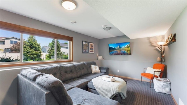 24405 18th Ave, Saint Augusta, MN 56301 - living room featuring carpet and baseboards
