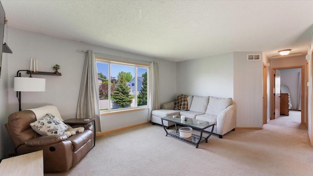 24405 18th Ave, Saint Augusta, MN 56301 - living area featuring light carpet, baseboards, and a textured ceiling