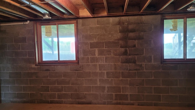 3454 44th Ave SW, Pine River, MN 56474 - below grade area featuring healthy amount of natural light and concrete block wall