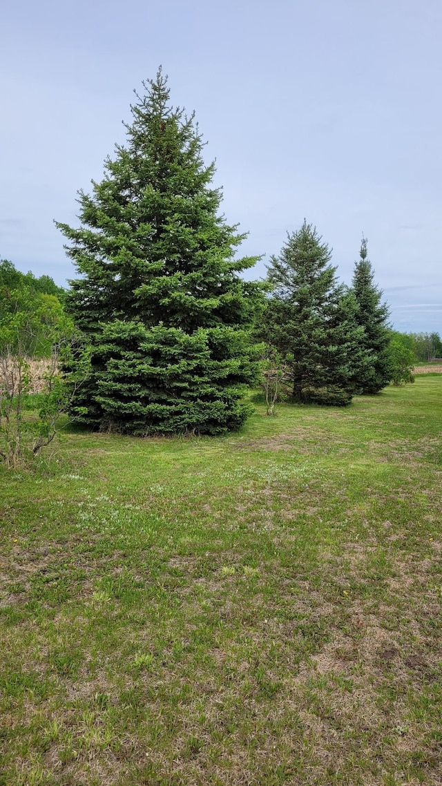 3454 44th Ave SW, Pine River, MN 56474 - view of yard