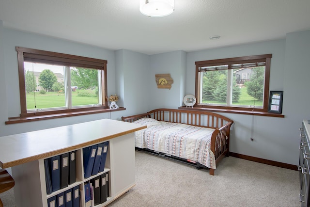2142 Monarch Ct, Sartell, MN 56377 - photo 56