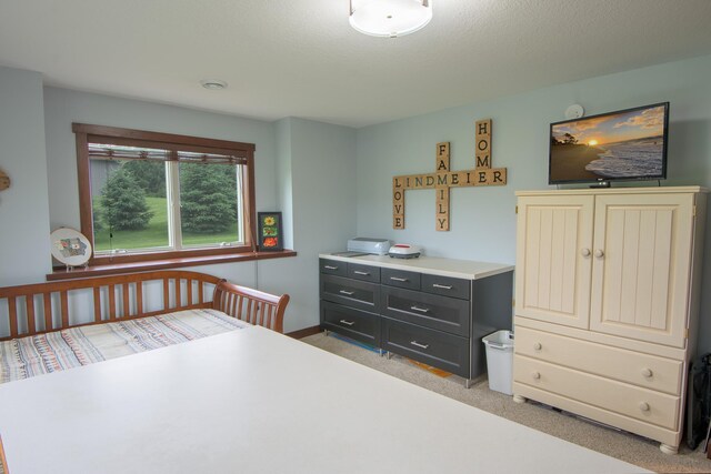2142 Monarch Ct, Sartell, MN 56377 - photo 58
