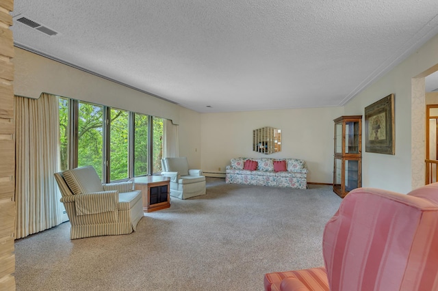 2916 Golf View Ct, Saint Cloud, MN 56301 - living area featuring a textured ceiling and a baseboard heating unit