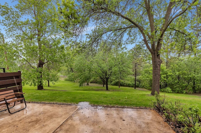 2916 Golf View Ct, Saint Cloud, MN 56301 - view of green lawn with a patio area