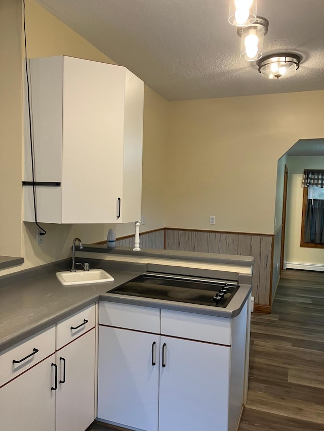 903 2nd St, Princeton, MN 55371 - kitchen with a sink, white cabinets, dark wood-style floors, black electric cooktop, and a wainscoted wall