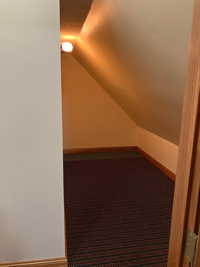 903 2nd St, Princeton, MN 55371 - bonus room featuring lofted ceiling