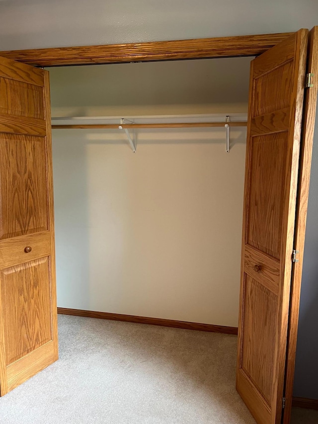 205 Darling Pl, Alexandria, MN 56308 - view of closet