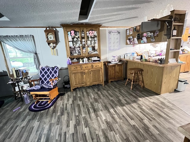 21486 121st Ave, Spring Valley, MN 55975 - bar area with wood finished floors and a textured ceiling
