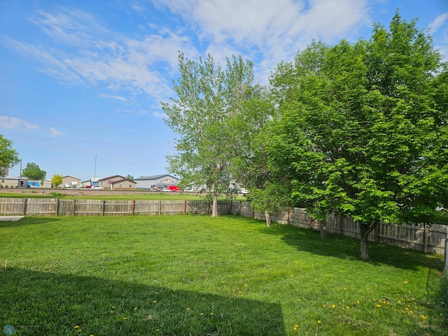 2904 17th Ave S, Moorhead, MN 56560 - view of yard