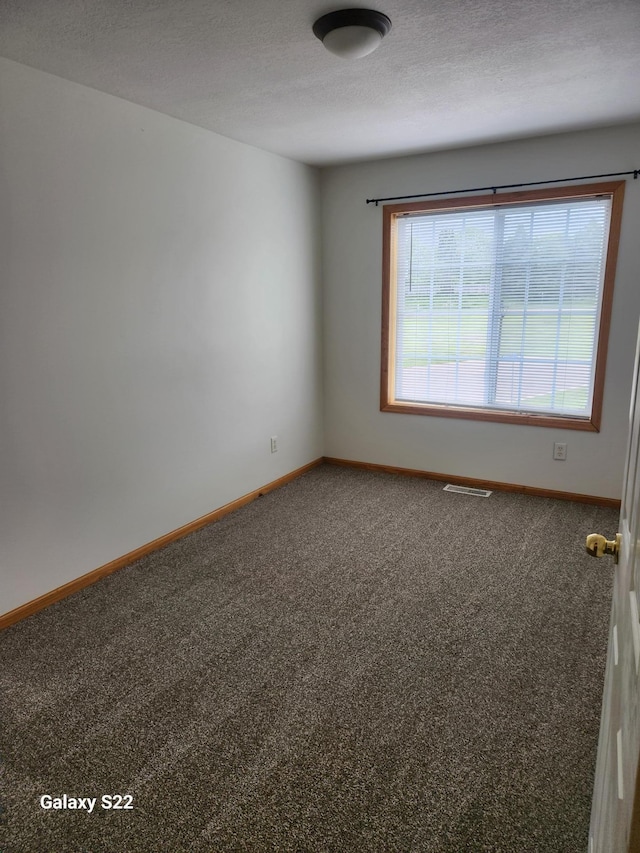6454 Appaloosa Ave S, Forest Lake, MN 55025 - carpeted empty room with baseboards