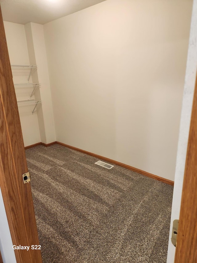 6454 Appaloosa Ave S, Forest Lake, MN 55025 - spacious closet with carpet