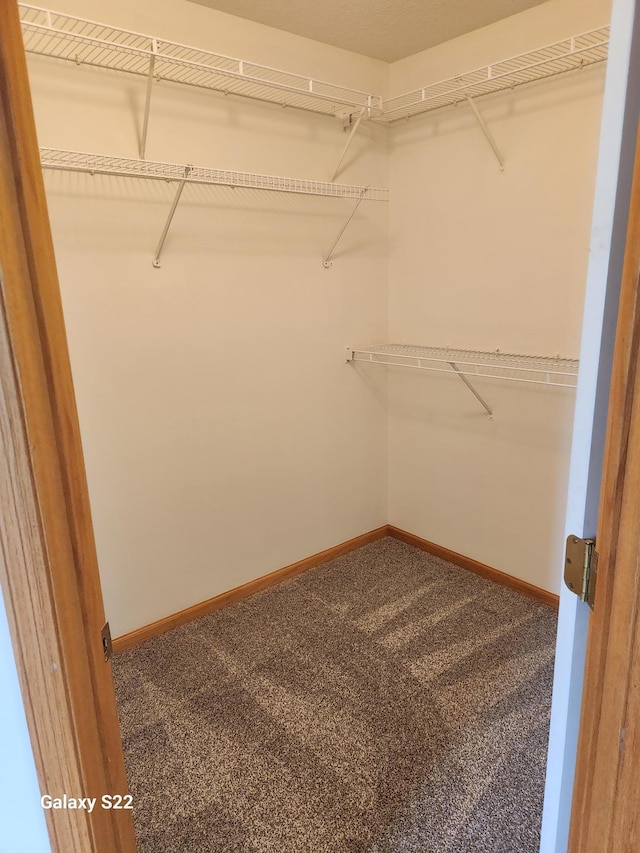 6454 Appaloosa Ave S, Forest Lake, MN 55025 - spacious closet with carpet flooring