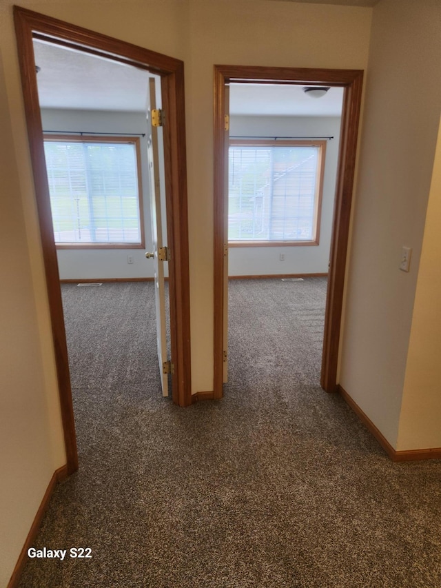6454 Appaloosa Ave S, Forest Lake, MN 55025 - hall with carpet and plenty of natural light