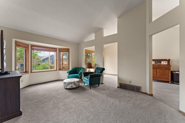 7150 Upper 157th St W, Apple Valley, MN 55124 - living area featuring carpet floors, a textured ceiling, baseboards, and high vaulted ceiling