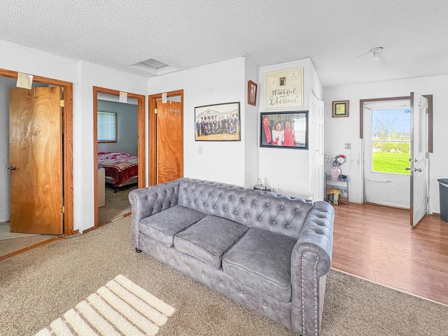 398 11 1/2 Ave, Turtle Lake, WI 54889 - living area featuring carpet and a textured ceiling