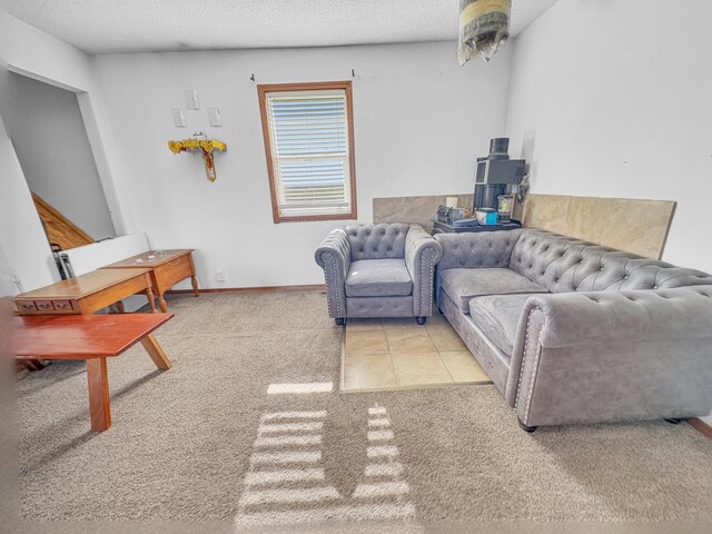 398 11 1/2 Ave, Turtle Lake, WI 54889 - living room with carpet flooring, a wood stove, and a textured ceiling