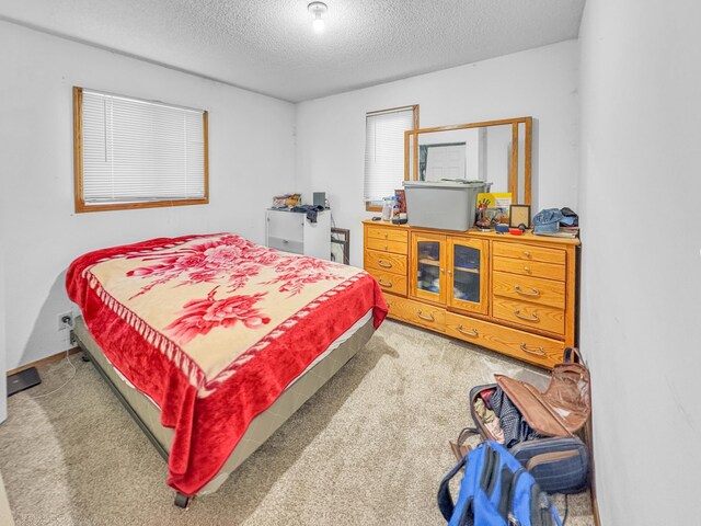 398 11 1/2 Ave, Turtle Lake, WI 54889 - bedroom with a textured ceiling and carpet floors