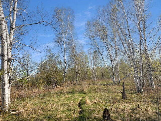 398 11 1/2 Ave, Turtle Lake, WI 54889 - view of nature
