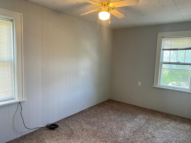 623 4th St, Madison, MN 56256 - unfurnished room with carpet floors, ceiling fan, and wood walls