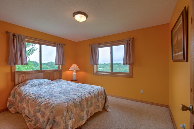 2200 405th Ave NW, Braham, MN 55006 - bedroom with carpet flooring and multiple windows
