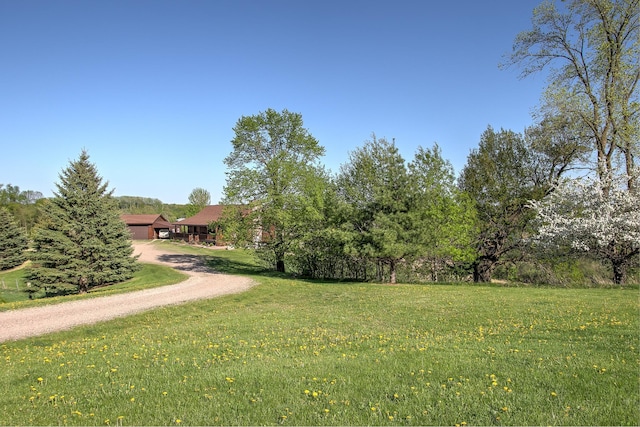 2200 405th Ave NW, Braham, MN 55006 - view of grassy yard featuring driveway