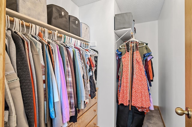 2572 91st Ln NE, Blaine, MN 55449 - view of walk in closet