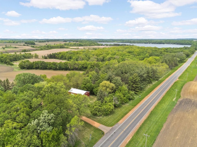 10180 County Road 43, Laketown Twp, MN 55318 - drone / aerial view of a nearby body of water