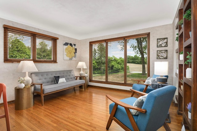 10180 County Road 43, Laketown Twp, MN 55318 - living area with wood finished floors