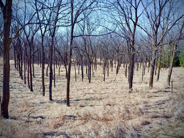 10180 County Road 43, Laketown Twp, MN 55318 - view of local wilderness