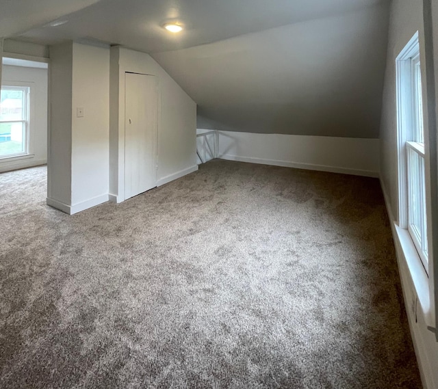 202 Main St W, Morristown, MN 55052 - bonus room featuring carpet flooring, lofted ceiling, and baseboards