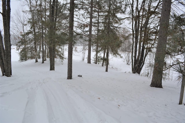 15326 Birch Point Rd, Lenroot Twp, WI 54843 - view of snowy yard