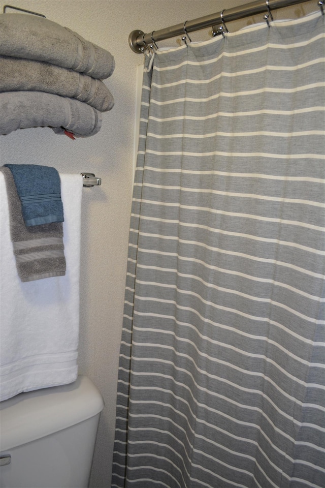 15326 Birch Point Rd, Lenroot Twp, WI 54843 - bathroom with toilet and a shower with curtain