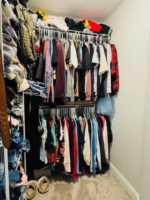 1320 Whiting Rd NW Unit 41, Bemidji, MN 56601 - walk in closet with carpet floors