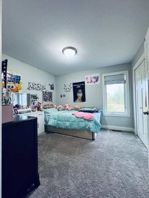 1320 Whiting Rd NW Unit 41, Bemidji, MN 56601 - bedroom with dark carpet, a closet, and baseboards
