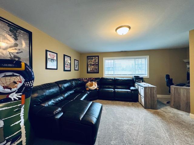 1320 Whiting Rd NW Unit 41, Bemidji, MN 56601 - living room with carpet flooring and baseboards