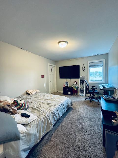 1320 Whiting Rd NW Unit 41, Bemidji, MN 56601 - view of carpeted bedroom