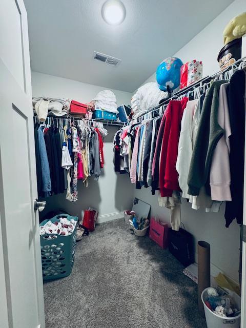 1320 Whiting Rd NW Unit 41, Bemidji, MN 56601 - walk in closet featuring carpet floors