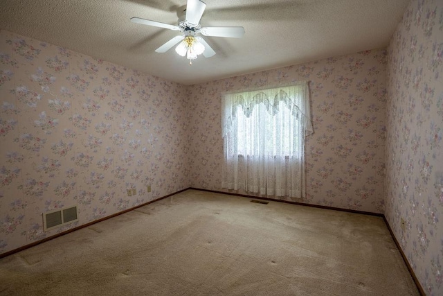 2851 120th Ave SW, Willmar, MN 56201 - unfurnished room with light colored carpet, ceiling fan, and a textured ceiling