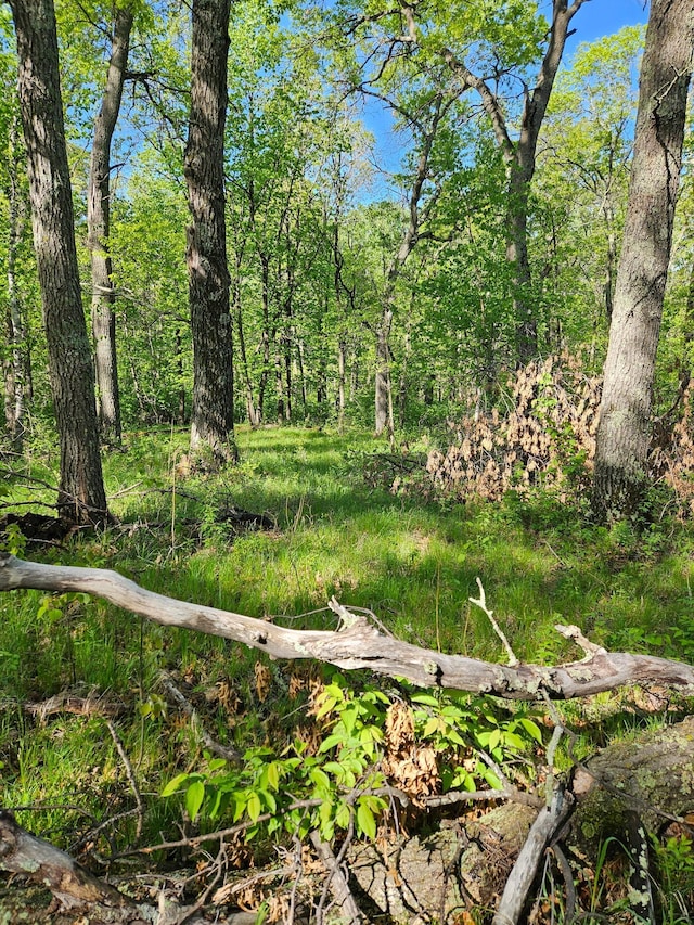 TBDLOT49, BLK1 Huron Dr, Breezy Point, MN 56472
