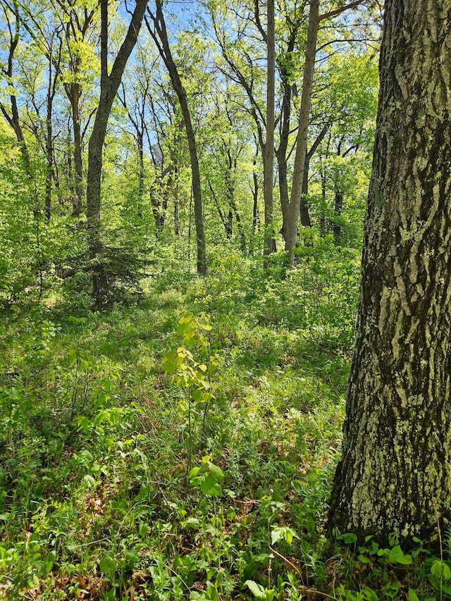 TBDLOT49, BLK1 Huron Dr, Breezy Point, MN 56472