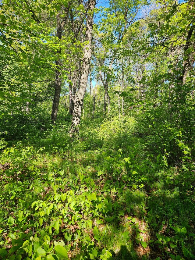TBDLOT49, BLK1 Huron Dr, Breezy Point, MN 56472