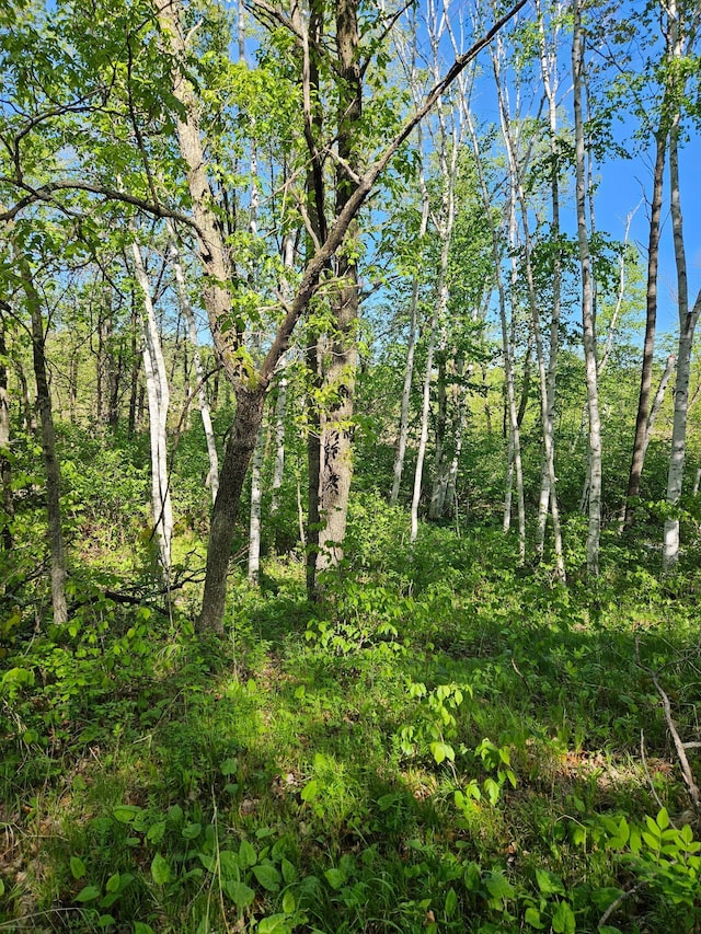 TBDLOT49, BLK1 Huron Dr, Breezy Point, MN 56472