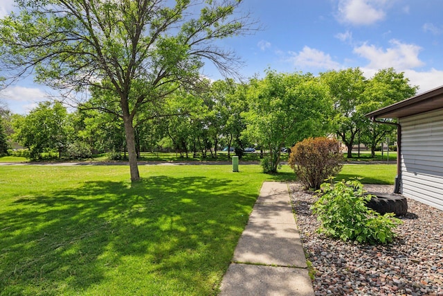 6670 84th Ct N, Brooklyn Park, MN 55445 - view of grassy yard