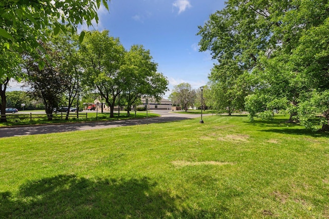 6670 84th Ct N, Brooklyn Park, MN 55445 - view of grassy yard
