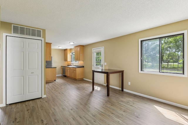 6670 84th Ct N, Brooklyn Park, MN 55445 - kitchen featuring a sink, baseboards, light wood finished floors, and a textured ceiling