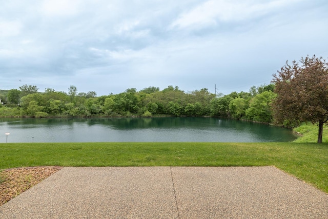 1829 Traders Point Ln SW, Rochester, MN 55902 - water view with a heavily wooded area