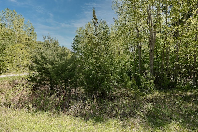 TBD Cardarelle Ct NW, Hackensack, MN 56452