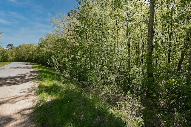 TBD Cardarelle Ct NW, Hackensack, MN 56452