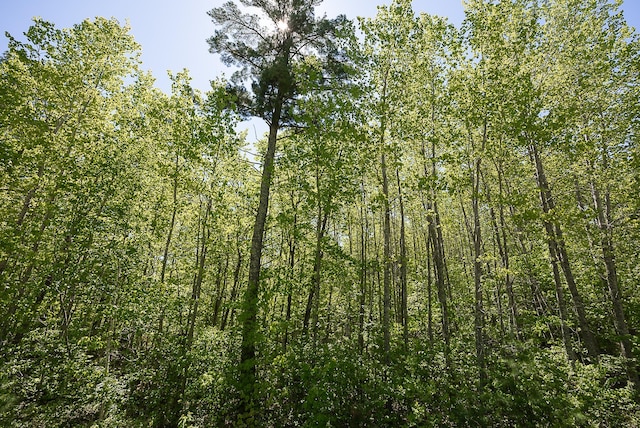 TBD Cardarelle Ct NW, Hackensack, MN 56452